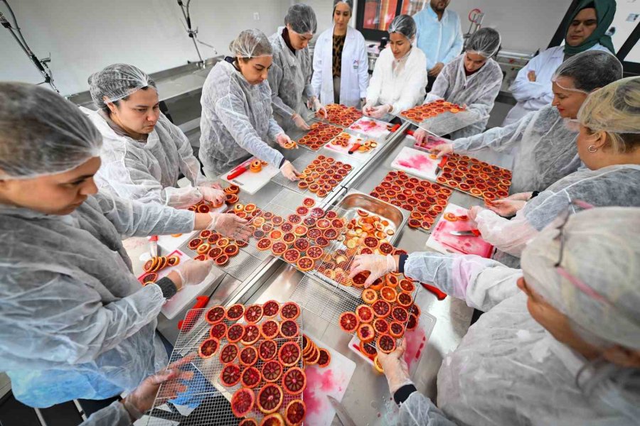 Mersin’de Kan Portakalı Kadınların Elinde Değer Kazanıyor