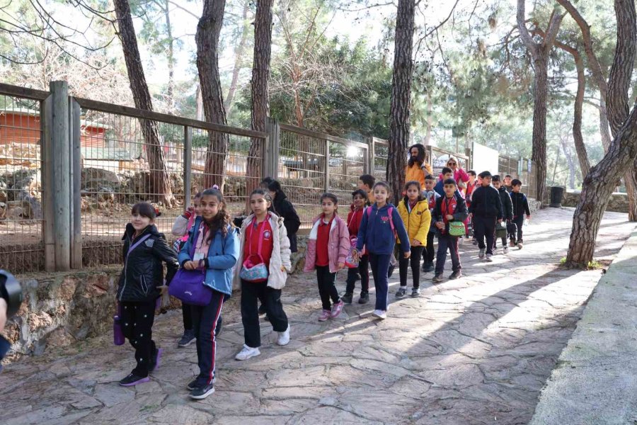 Çocuklar Hayvanları Ve Yaban Hayatını Tanıma Fırsatı Buldu