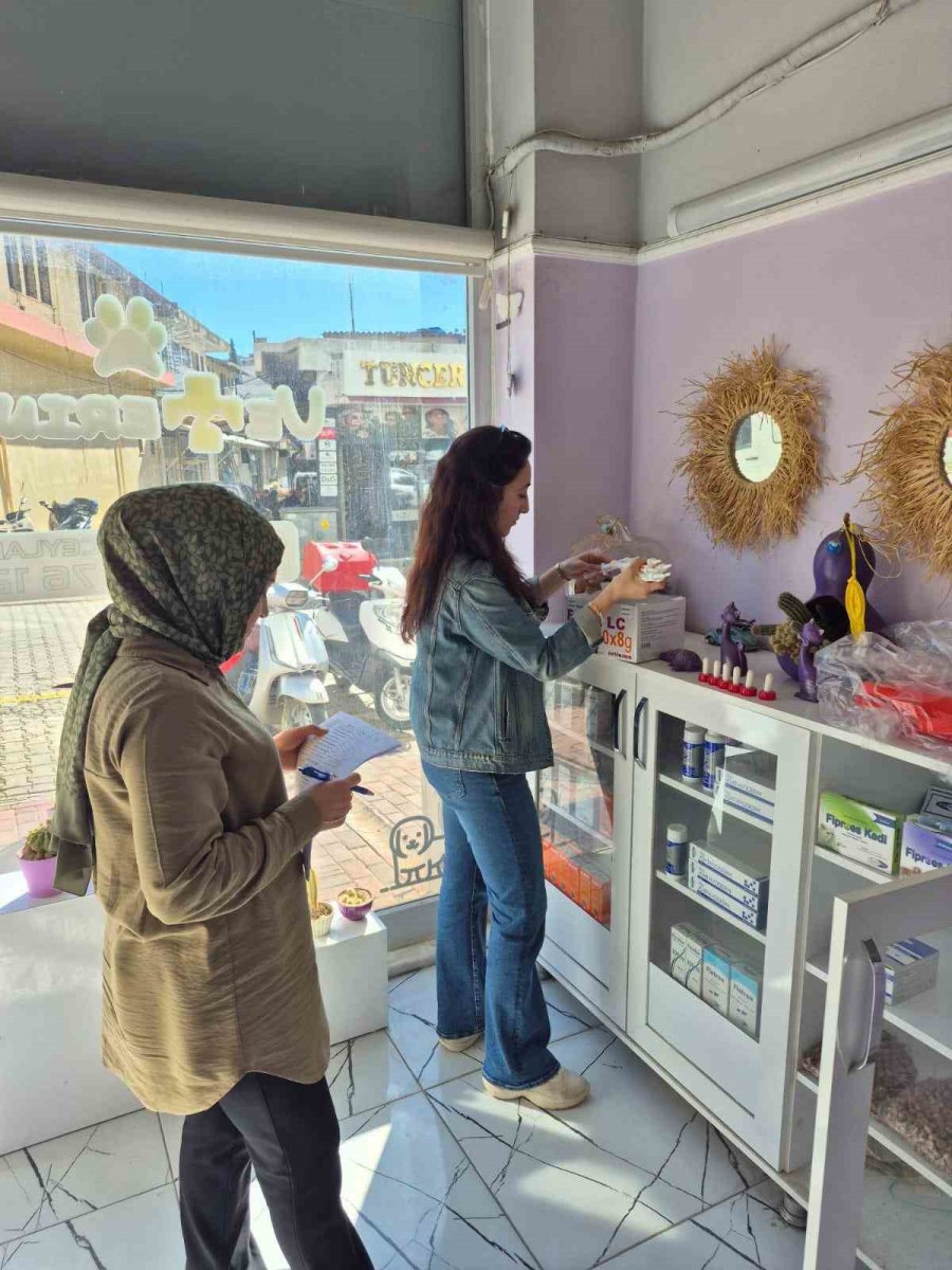 Gazipaşa’da Hayvan Sağlığı İçin Sahada Yoğun Mesai