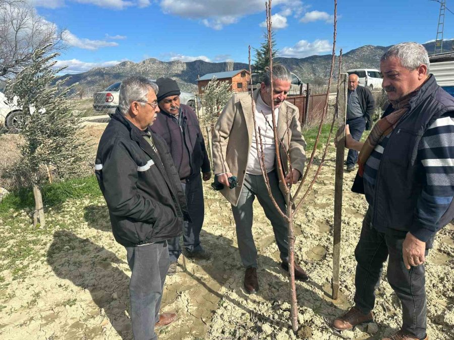 Korkuteli’nde Çiftçilere Budama Eğitimi