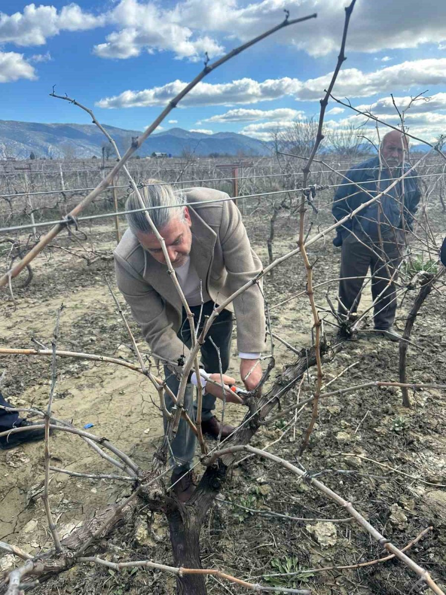 Korkuteli’nde Çiftçilere Budama Eğitimi