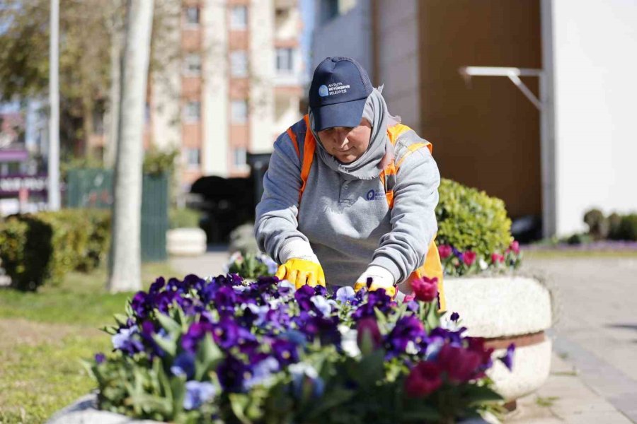 Antalya Büyükşehir Belediyesi İle Şehre Kadın Eli Değiyor