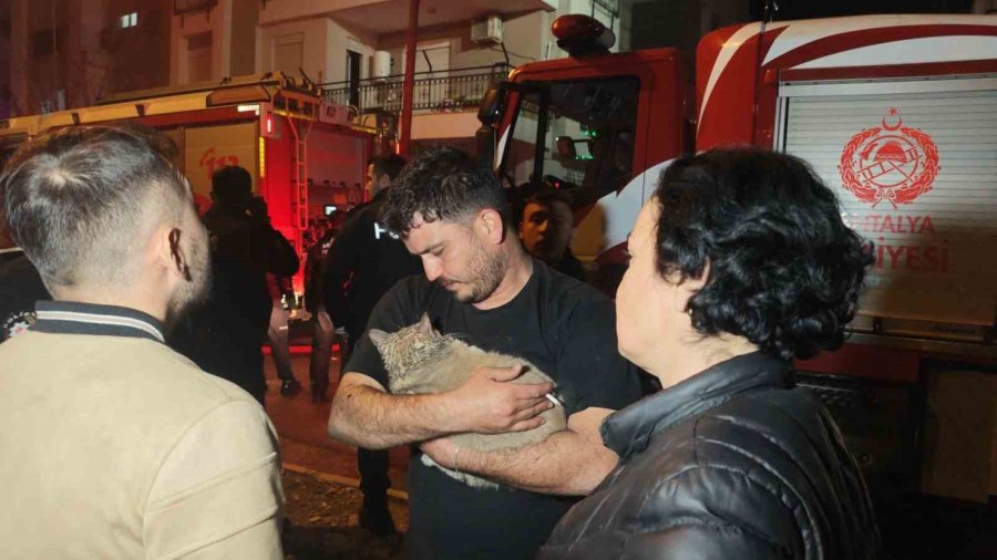 Korkutan Yangında Mahsur Kalan Kediyi İtfaiye Kurtardı