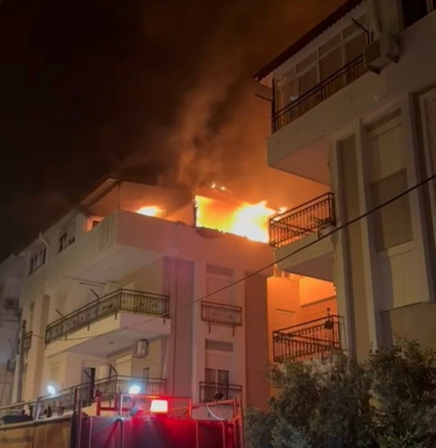 Korkutan Yangında Mahsur Kalan Kediyi İtfaiye Kurtardı