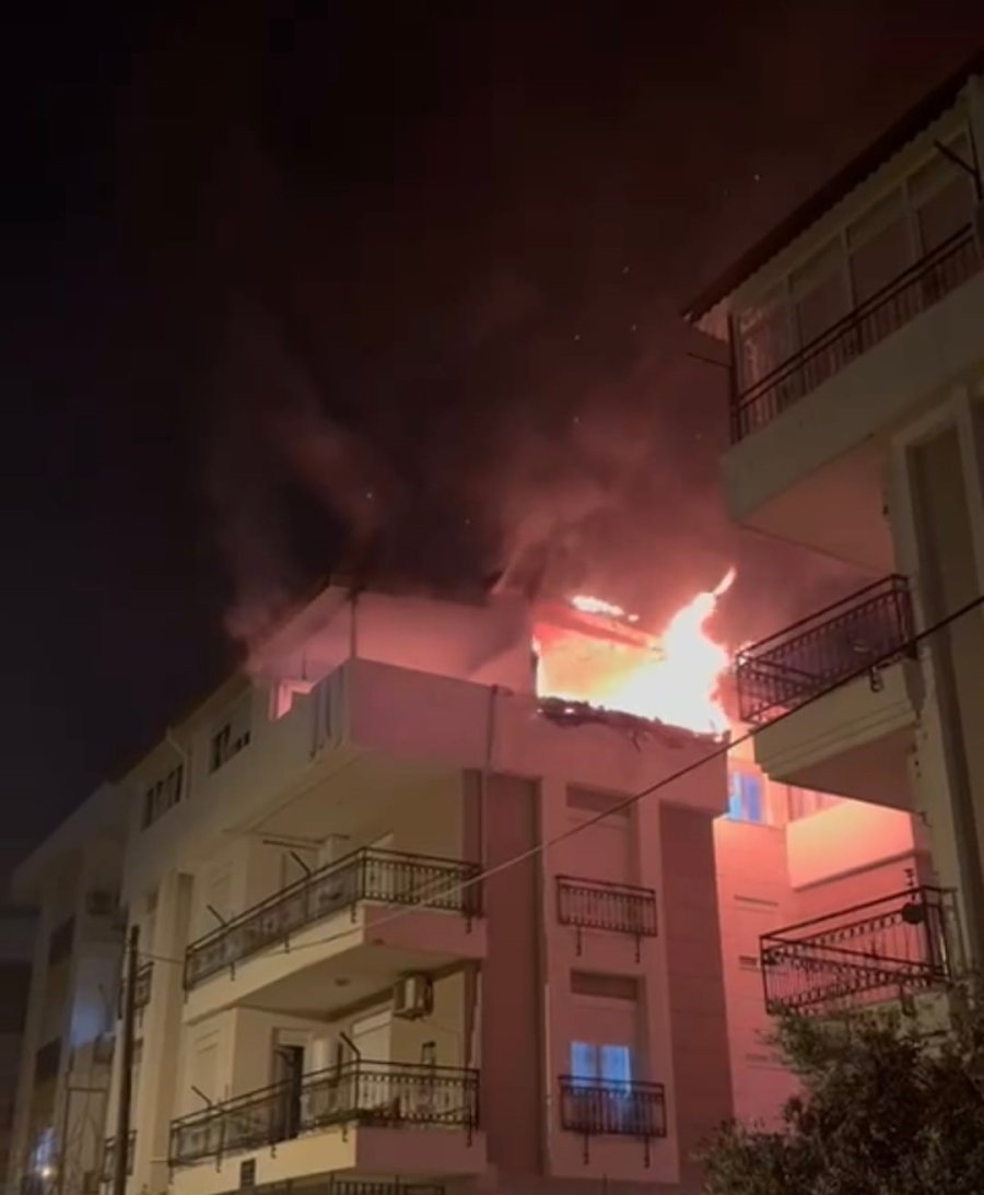 Korkutan Yangında Mahsur Kalan Kediyi İtfaiye Kurtardı