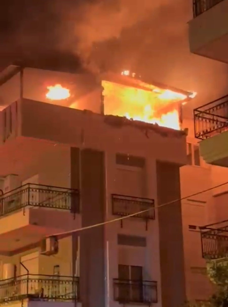 Korkutan Yangında Mahsur Kalan Kediyi İtfaiye Kurtardı