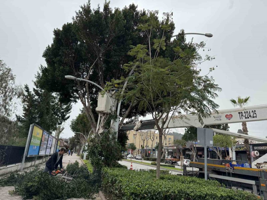 Büyükşehir’den Kemer’de Peyzaj Düzenlenesi