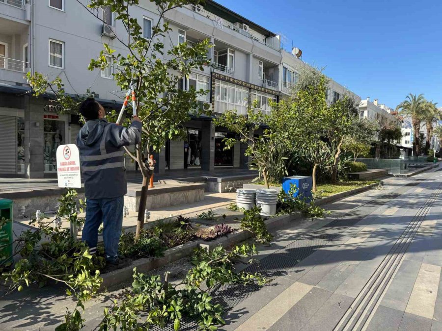 Büyükşehir’den Kemer’de Peyzaj Düzenlenesi