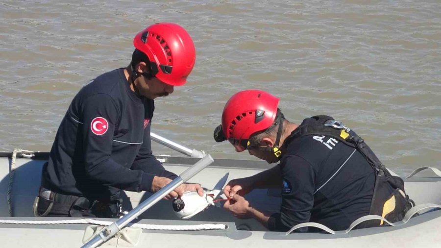 Antalya İtfaiyesinden Film Gibi Martı Kurtarma Operasyonu