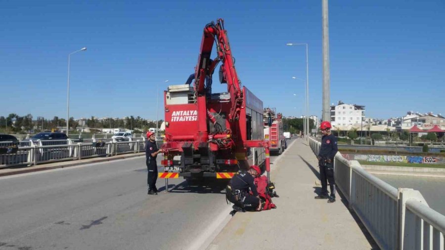 Antalya İtfaiyesinden Film Gibi Martı Kurtarma Operasyonu