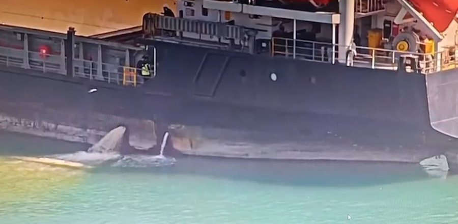 Mersin’de Denizi Kirleten Gemiye 13 Milyon Tl Ceza Kesildi, Gemi Rıhtıma Bağlandı