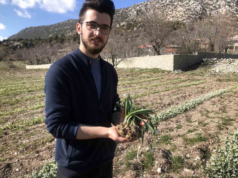 Toros Kardeleni İçin Kontrollü Üretim Ve İhracat Modeli Sürdürülüyor