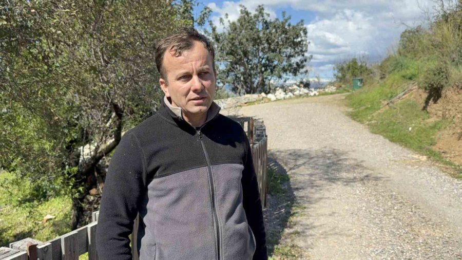 Antalya’da Sahipsiz Köpeğin Saldırısına Uğrayan 7 Yaşındaki Çocuk Hastanelik Oldu