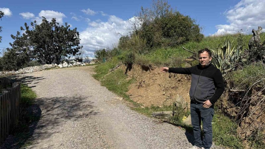 Antalya’da Sahipsiz Köpeğin Saldırısına Uğrayan 7 Yaşındaki Çocuk Hastanelik Oldu