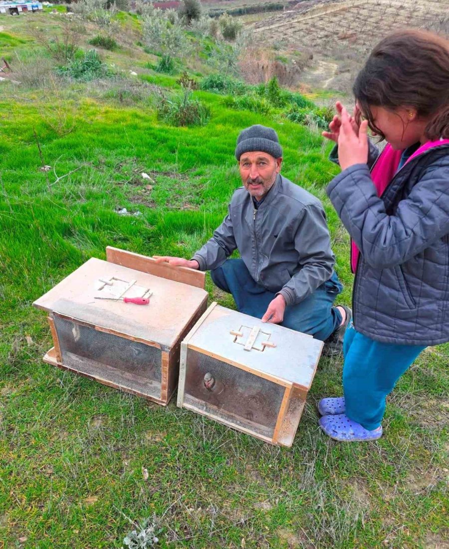 Mersin’de Zamansız Zirai İlaçlama Arıların Ölümüne Sebep Oldu