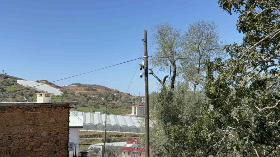 Antalya’da Sahipsiz Köpeğin Saldırısına Uğrayan 7 Yaşındaki Çocuk Hastanelik Oldu