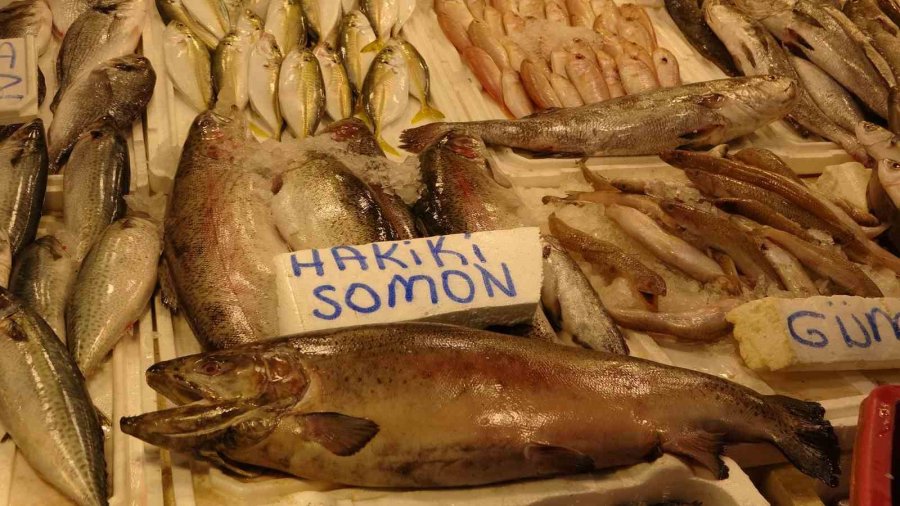 Mersin’de Ramazan’da Balık Fiyatları Düştü, Satışlar Arttı