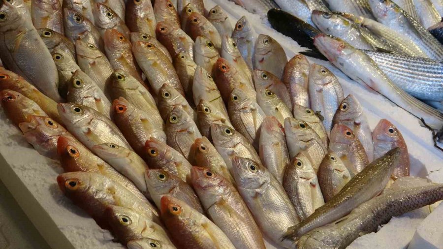 Mersin’de Ramazan’da Balık Fiyatları Düştü, Satışlar Arttı