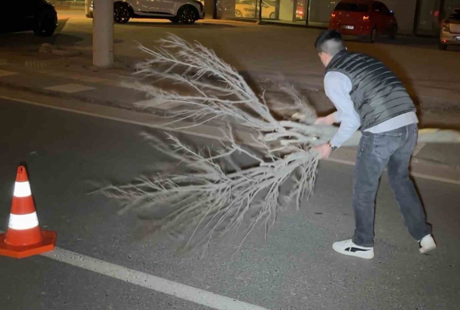 Kaza Sonrası Cam Ve Plastik Parçalarıyla Dolan Yolu Vatandaş Kırılan Ağaçla Böyle Temizledi