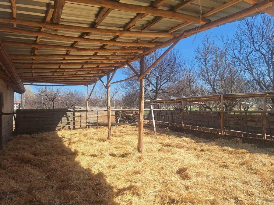 Konya’da Sosyal Medyaya Yansıyan Hayvancılık İşletmesi Görüntülerine İnceleme