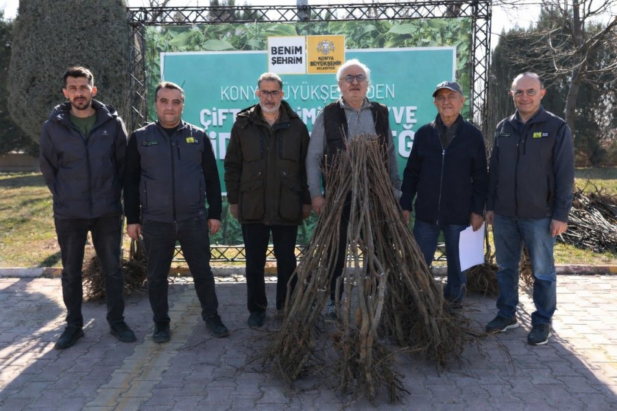 Başkan Altay: "23 Bin 500 Adet Fidanı Çiftçimize Ulaştıracağız"