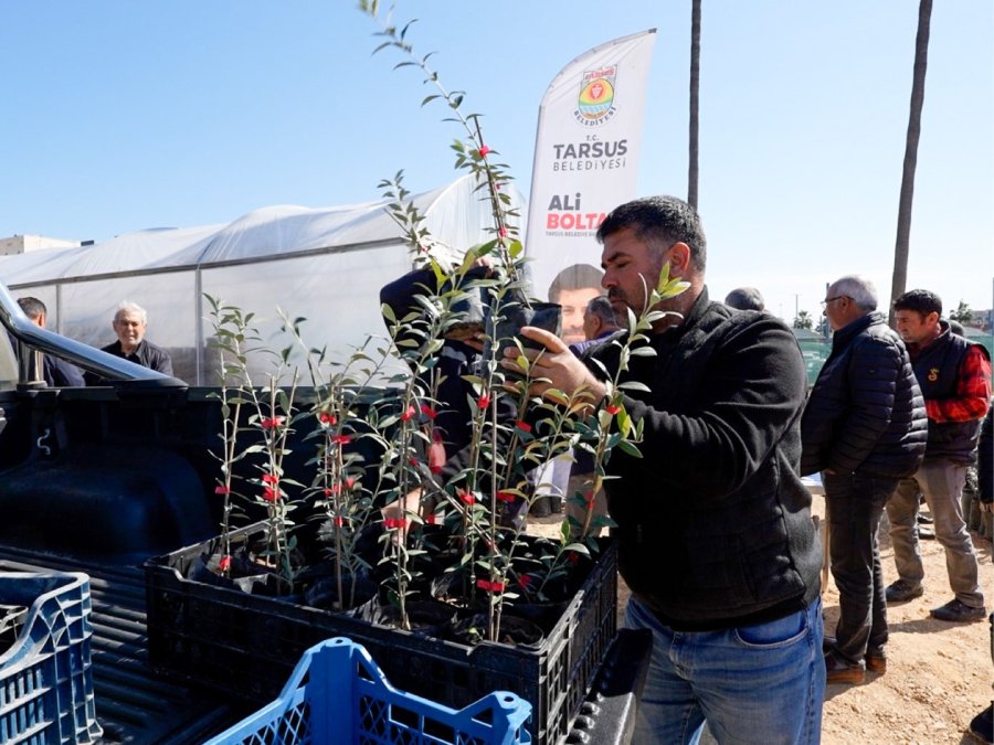 Tarsus’ta Zeytinyağında Kalite Yarışması Düzenlendi