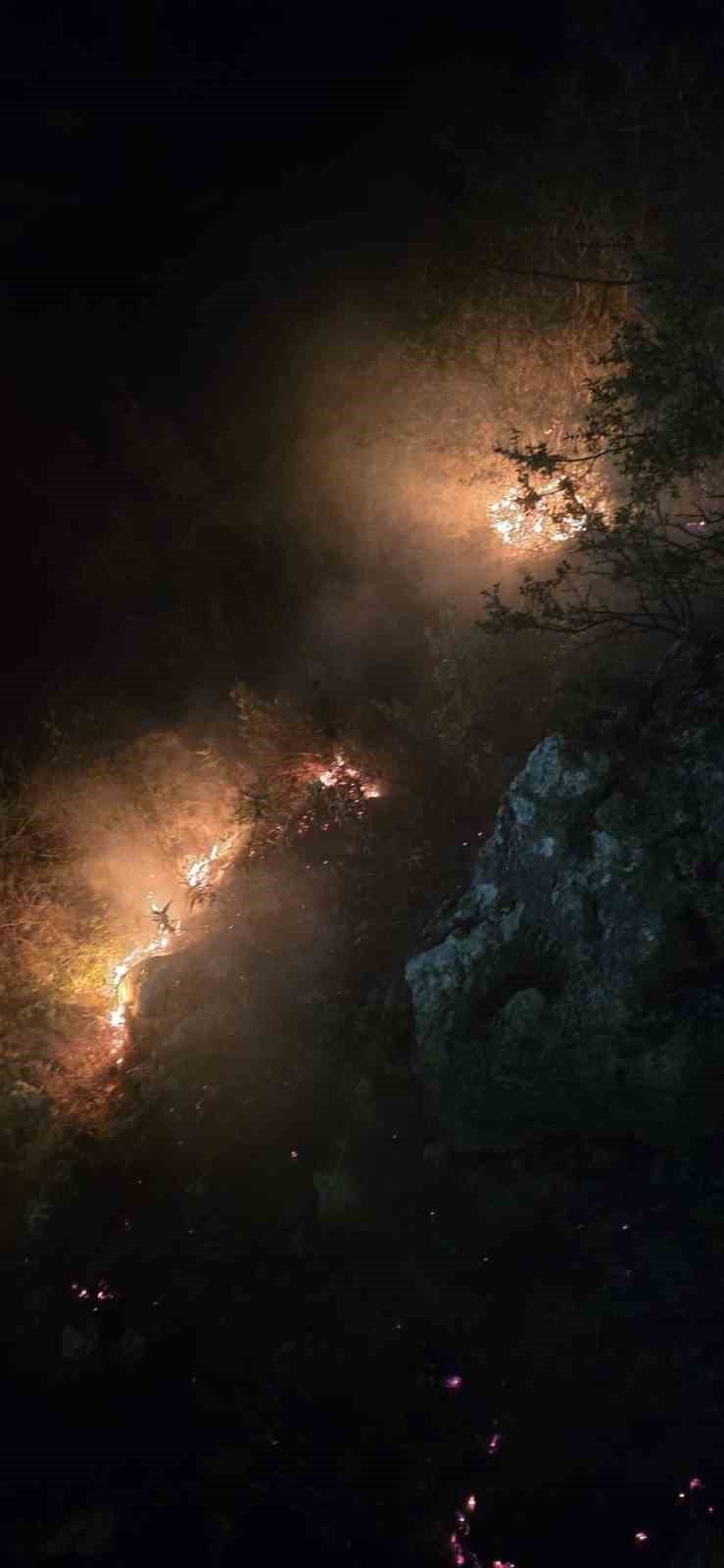 Alanya’da Ormanlık Alanda Çıkan Yangın Büyümeden Söndürüldü