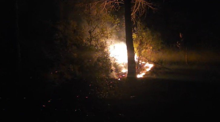 Alanya’da Ormanlık Alanda Çıkan Yangın Büyümeden Söndürüldü