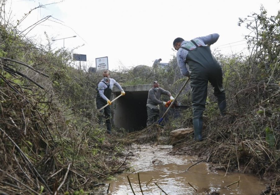 Mersin Büyükşehir Belediyesi Kent Genelinde Haşereyle Mücadeleyi Sürdürüyor