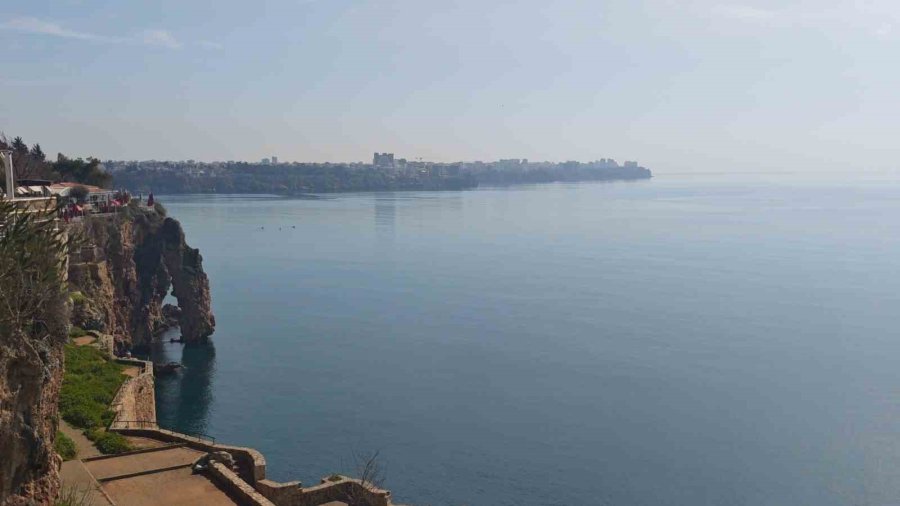 Balıkçıların Kabusu Oldular : Attıkları Ağlara Yüzlerce Dev Denizanası Takıldı