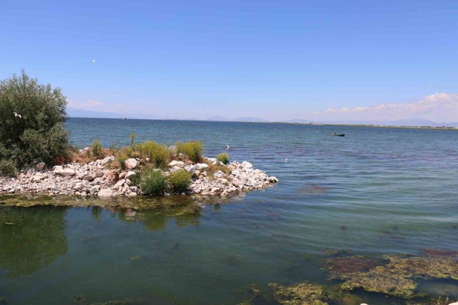 Beyşehir’de Av Yasağı Sürerken Balık Tezgahlarında Süre Şartı