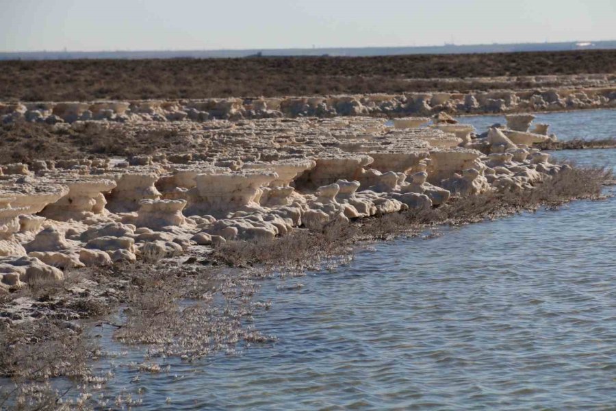 Kuruma Tehlikesi Yaşanan Tuz Gölü Yeniden Canlandı