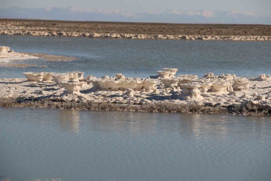 Kuruma Tehlikesi Yaşanan Tuz Gölü Yeniden Canlandı