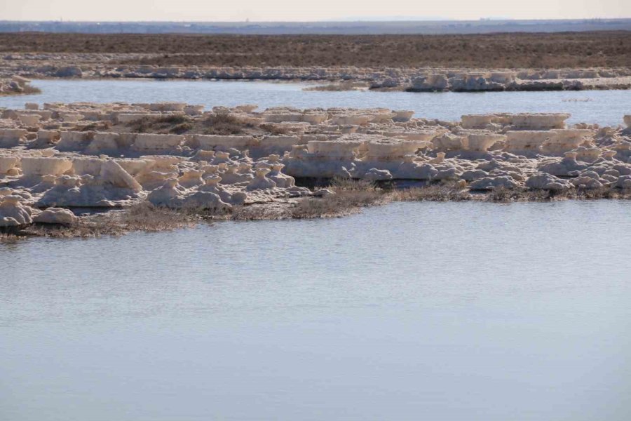 Kuruma Tehlikesi Yaşanan Tuz Gölü Yeniden Canlandı