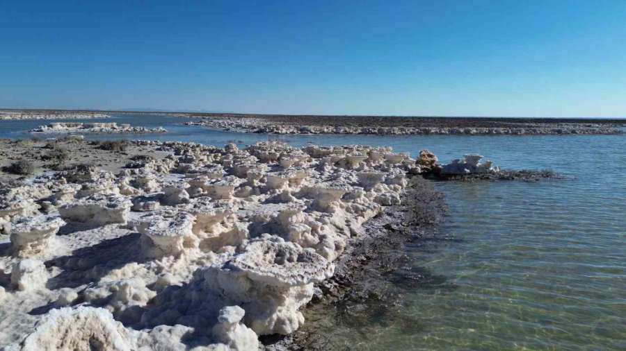 Kuruma Tehlikesi Yaşanan Tuz Gölü Yeniden Canlandı