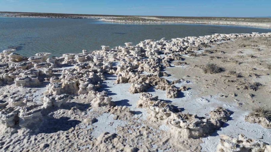 Kuruma Tehlikesi Yaşanan Tuz Gölü Yeniden Canlandı