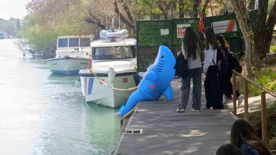 Vatandaşları Eğlendirmek İçin Köpek Balığı Kostümüyle Manavgat Sokaklarında Dolaşıyor
