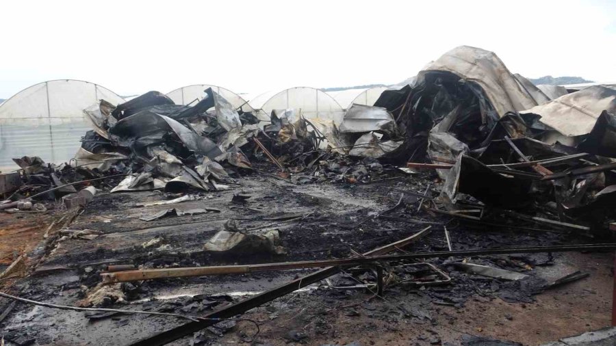 Antalya’da Yangın Faciası Sera İşçisi Anne Ve 5 Çocuğu Hayatını Kaybetti