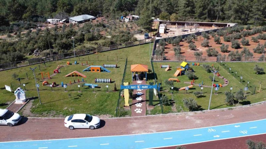 Duacı Mahallesi’nde Pati Park Hizmet Açıldı