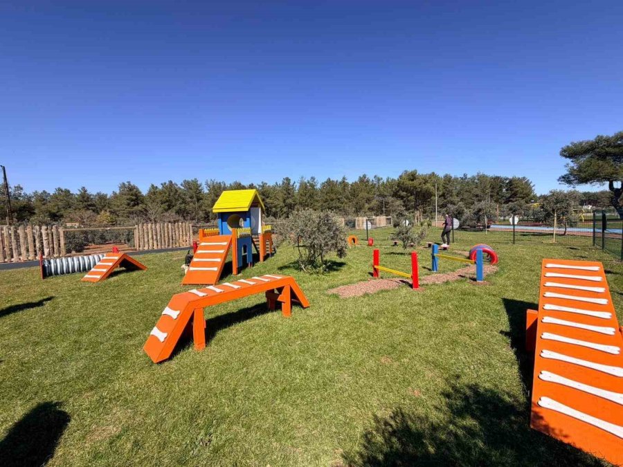 Duacı Mahallesi’nde Pati Park Hizmet Açıldı