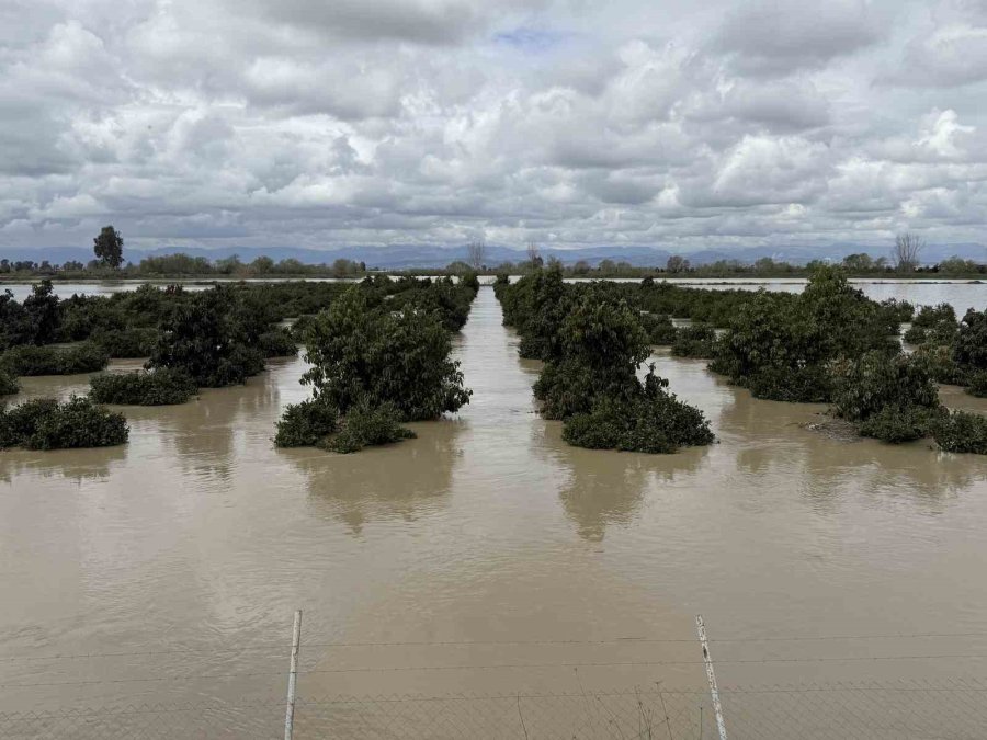 Yağışlar Tarım Arazilerini Vurdu