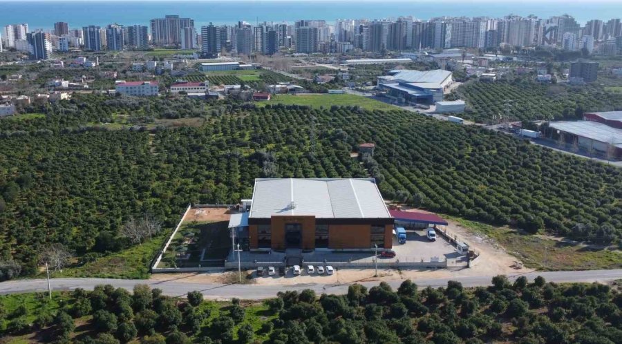 Arıcılar Teknolojiyi Yakından Takip Ediyor: Devlet Desteğiyle Modern Tesis Kurdu, 40 Kişiye İstihdam Sağladı