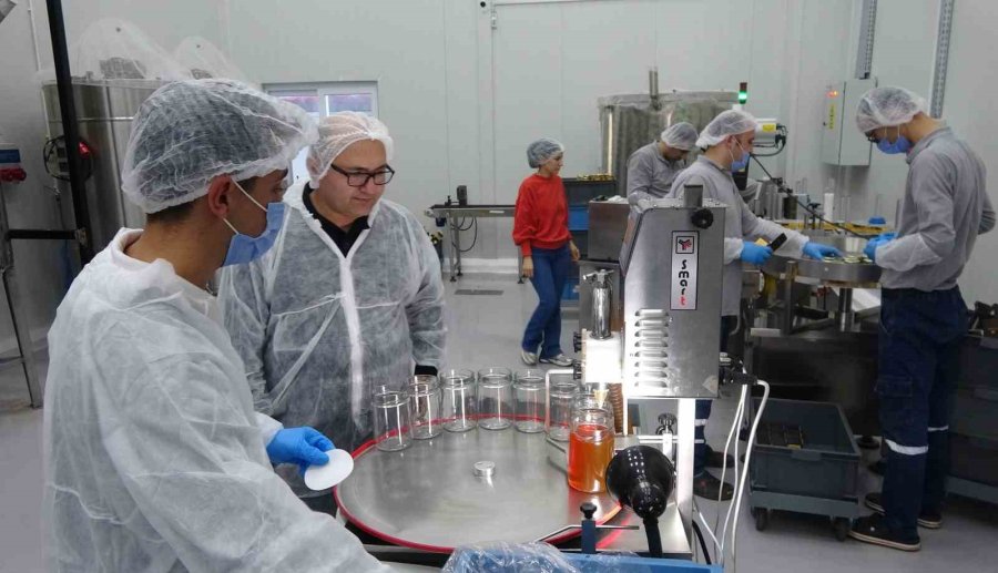 Arıcılar Teknolojiyi Yakından Takip Ediyor: Devlet Desteğiyle Modern Tesis Kurdu, 40 Kişiye İstihdam Sağladı