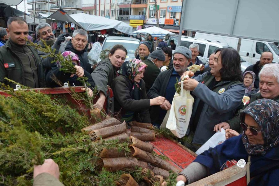 Korkuteli Orman İşletme Müdürlüğü 1000 Fidan Dağıtımı Yaptı