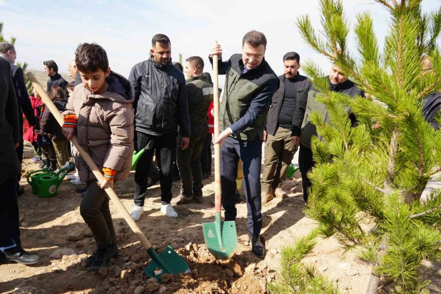 Niğde’de Binlerce Fidan Toprakla Buluşturuldu