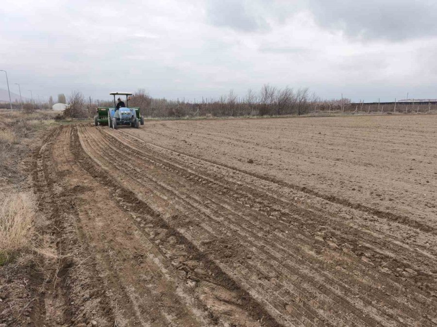 Niğde’de Kadın Kooperatifleriyle Çörek Otu Ekimi Tamamlandı
