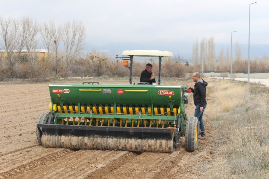 Niğde’de Kadın Kooperatifleriyle Çörek Otu Ekimi Tamamlandı