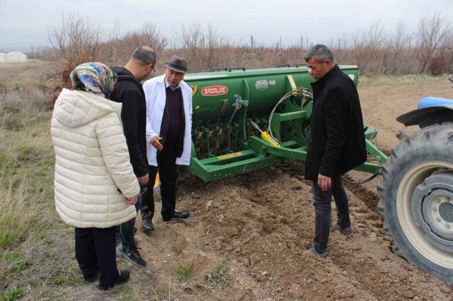 Niğde’de Kadın Kooperatifleriyle Çörek Otu Ekimi Tamamlandı