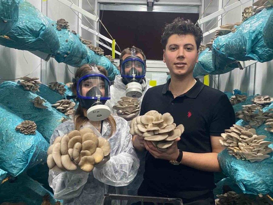 Hobi Olarak Başladığı Mantar Yetiştiriciliğinde Günde 1 Tona Yakın Hasat Elde Ediyor