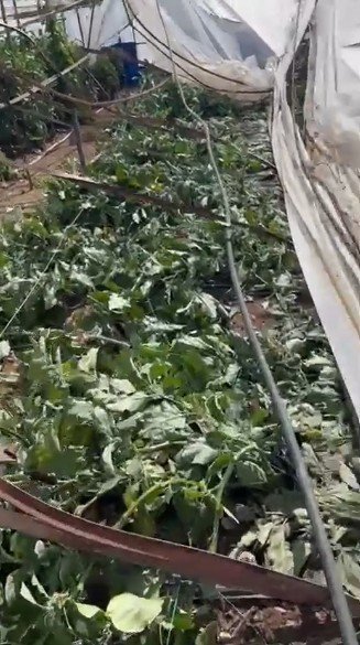 Kumluca’da Hortum Seraları Vurdu, 10 Dönüm Alan Zarar Gördü